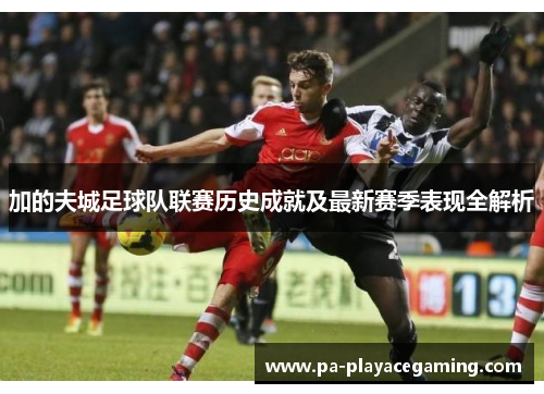 加的夫城足球队联赛历史成就及最新赛季表现全解析