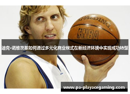 迪克·诺维茨基如何通过多元化商业模式在新经济环境中实现成功转型